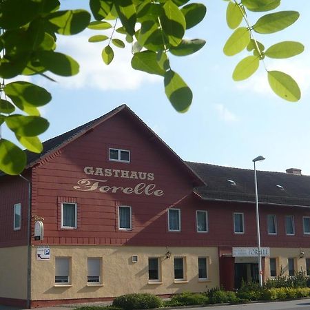 Gasthaus Forelle Thale Kültér fotó