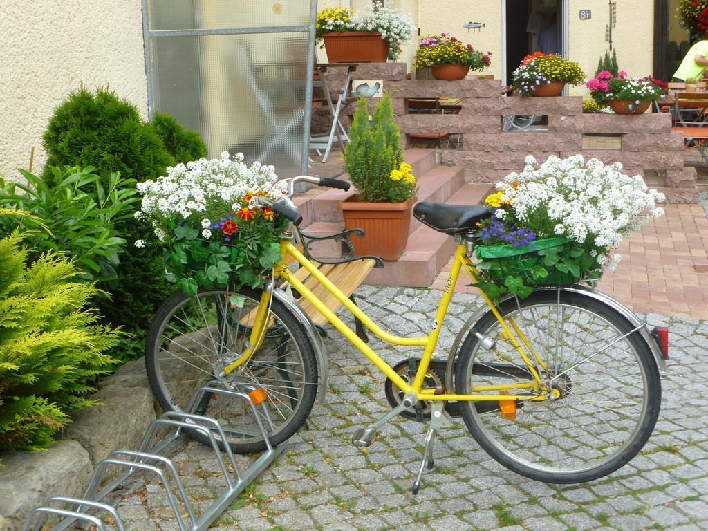 Gasthaus Forelle Thale Kültér fotó