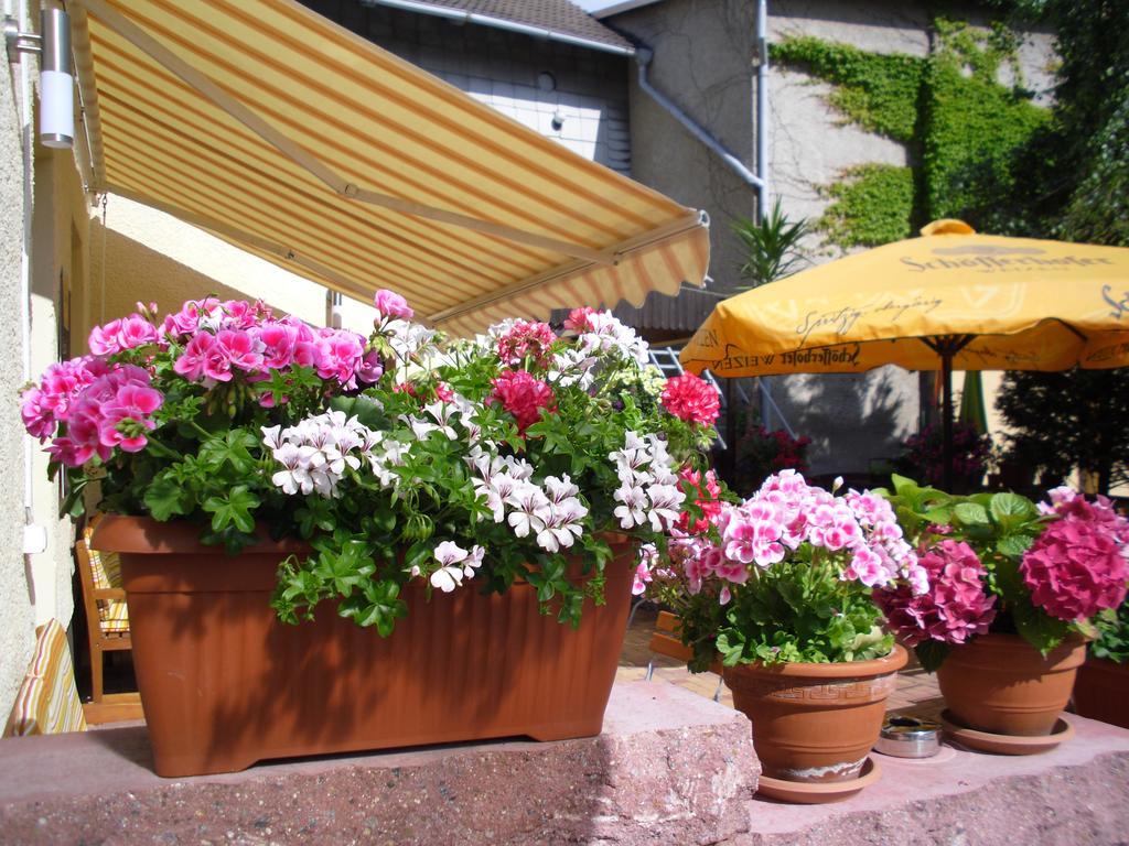 Gasthaus Forelle Thale Kültér fotó