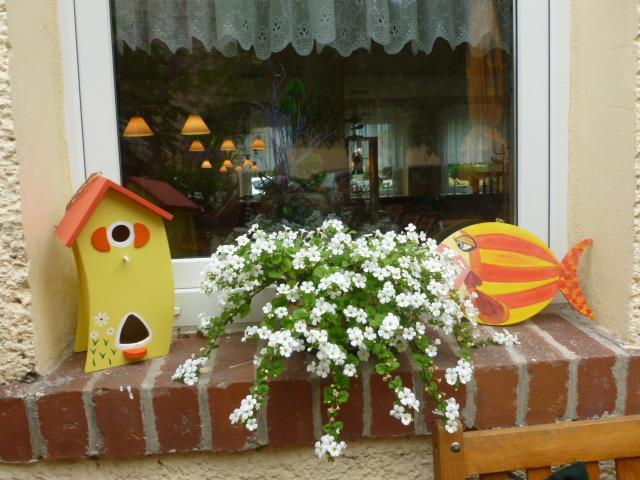 Gasthaus Forelle Thale Kültér fotó